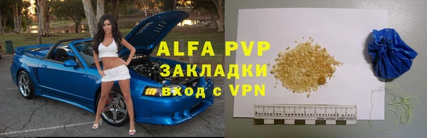 прущие грибы Бронницы