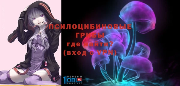 тгк Бородино