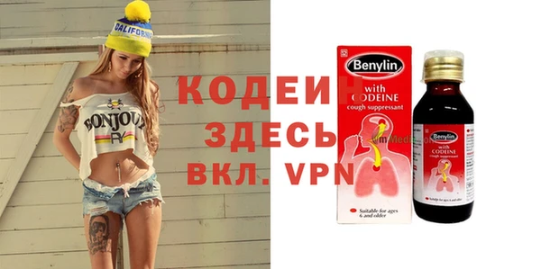 прущие грибы Бронницы