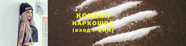 тгк Бородино