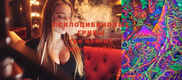 тгк Бородино