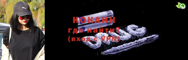 прущие грибы Бронницы