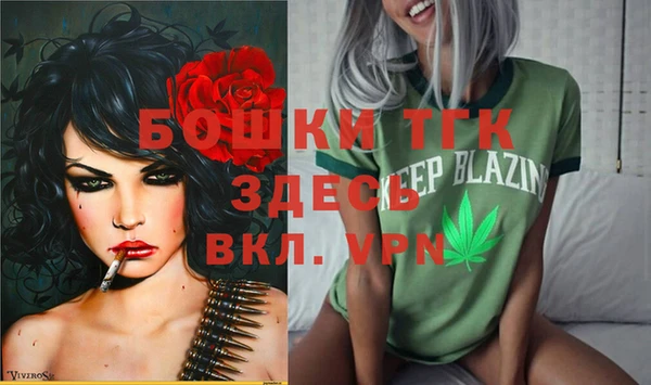 прущие грибы Бронницы
