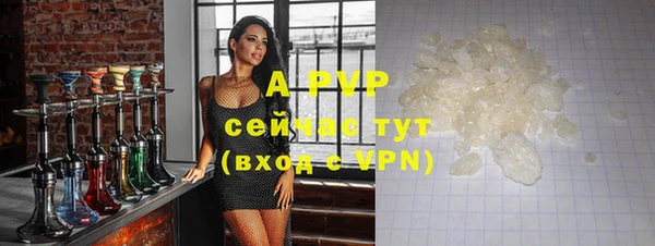 тгк Бородино