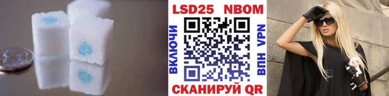 кракен   Ильский  дарк нет Telegram  LSD-25 экстази ecstasy 