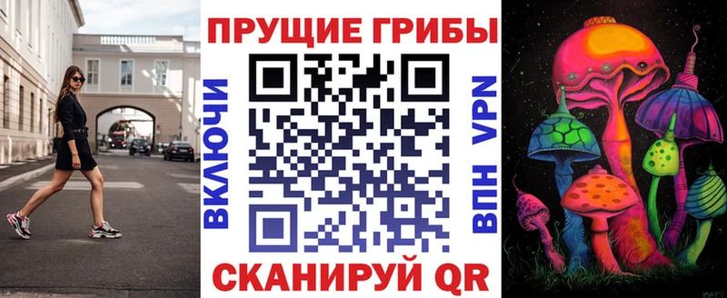 цена наркотик  Ильский  Галлюциногенные грибы Cubensis 